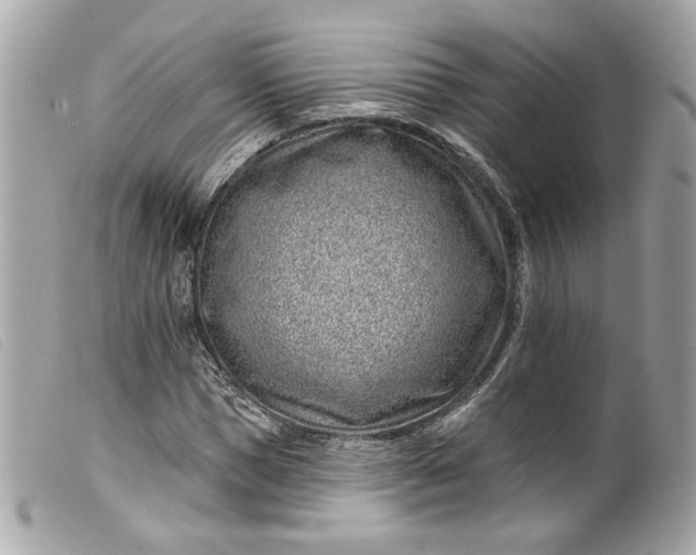 X0000099560921200805301538