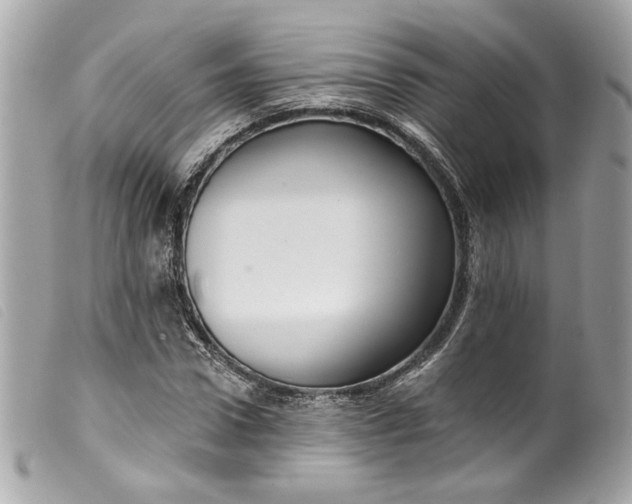 X0000099560922200805301538