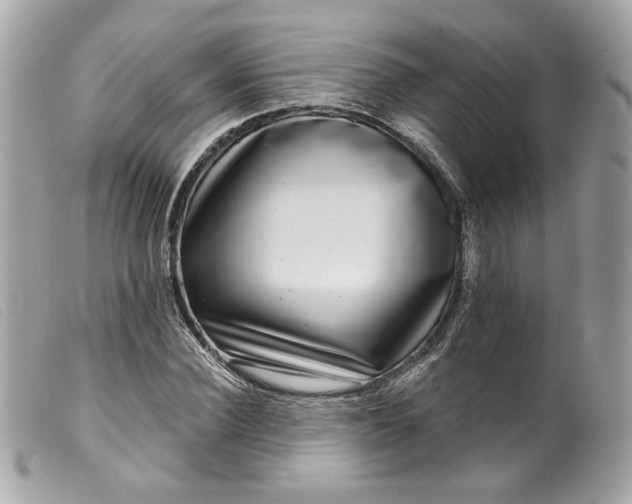 X0000099560924200805301538