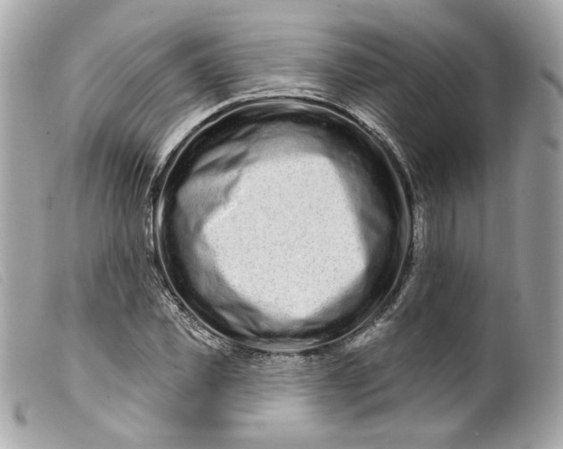 X0000099560925200805301538