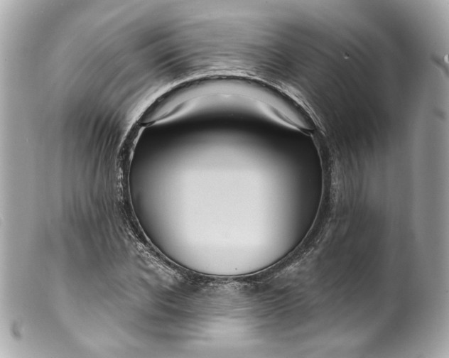 X0000099560926200805301538