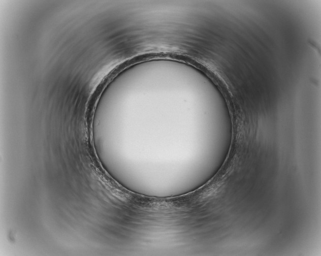 X0000099560927200805301538