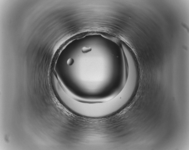 X0000099560928200805301538