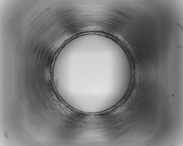 X0000099560929200805301538