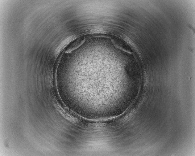 X0000099560930200805301538