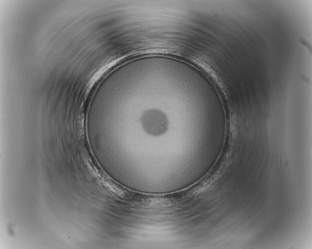 X0000099560933200805301538