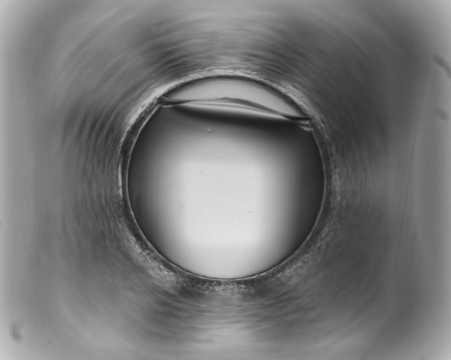 X0000099560934200805301538