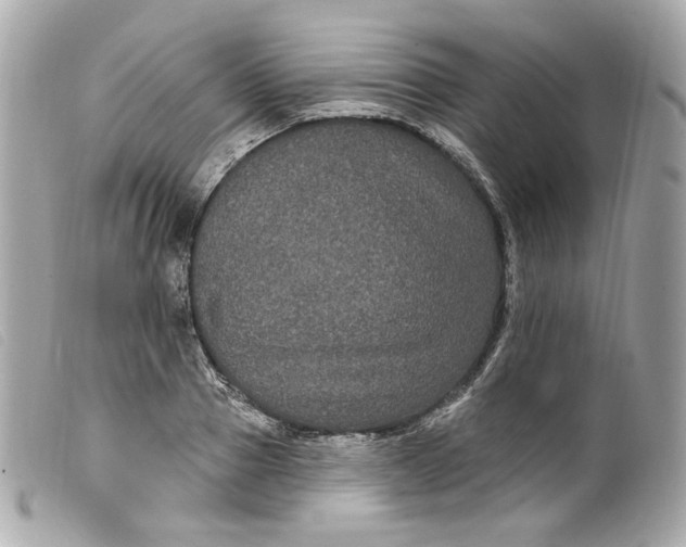 X0000099560937200805301538