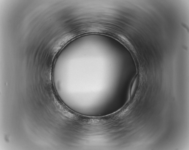 X0000099560938200805301538