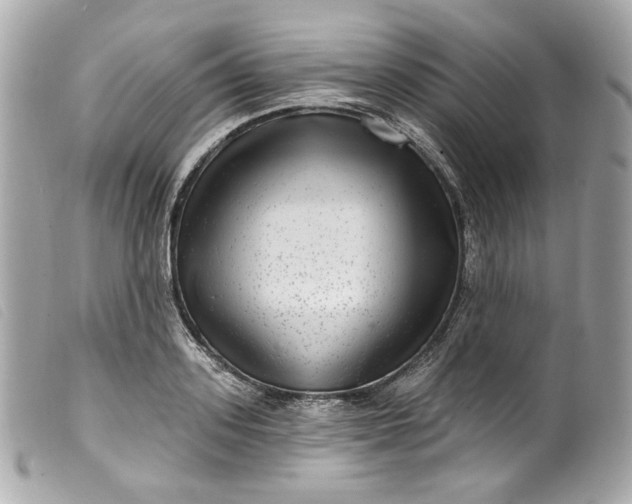 X0000099560939200805301538