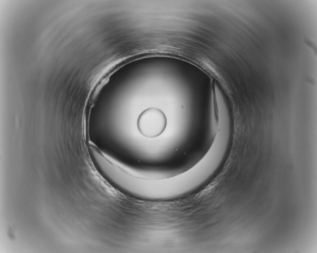 X0000099560940200805301538