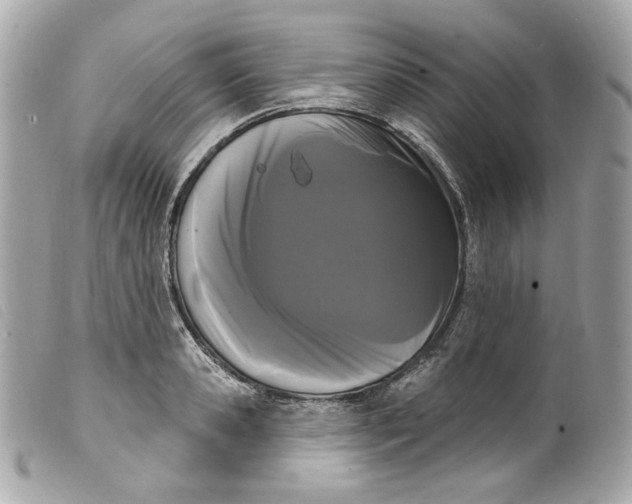 X0000099560941200805301538