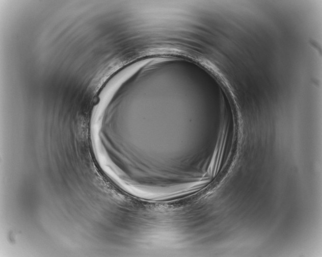 X0000099560945200805301538