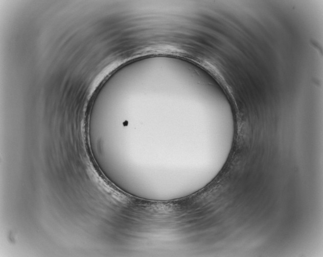 X0000099560947200805301538