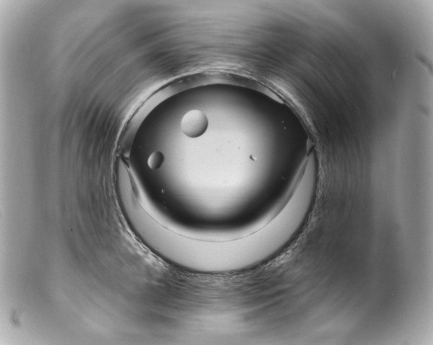 X0000099560948200805301538