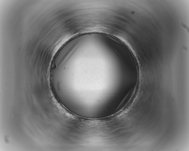 X0000099560949200805301538