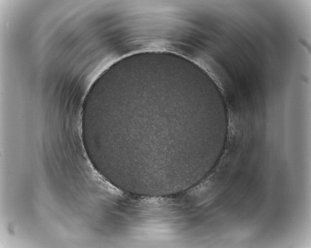 X0000099560950200805301539