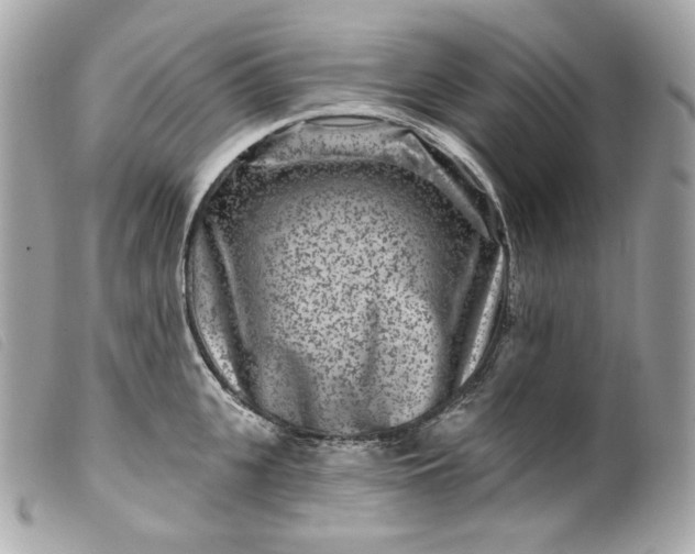 X0000099560951200805301539