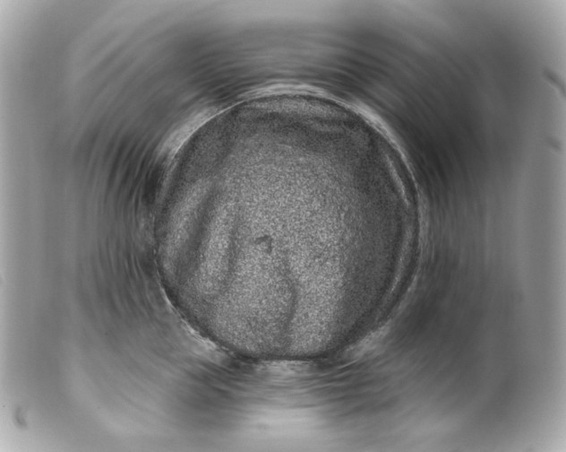 X0000099560953200805301539