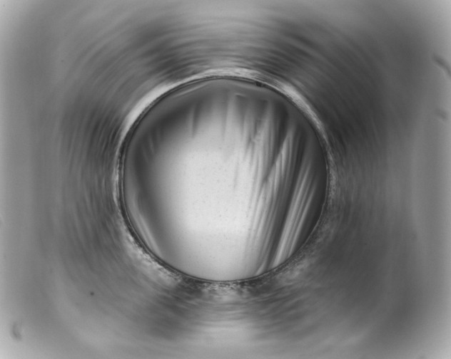 X0000099560955200805301539