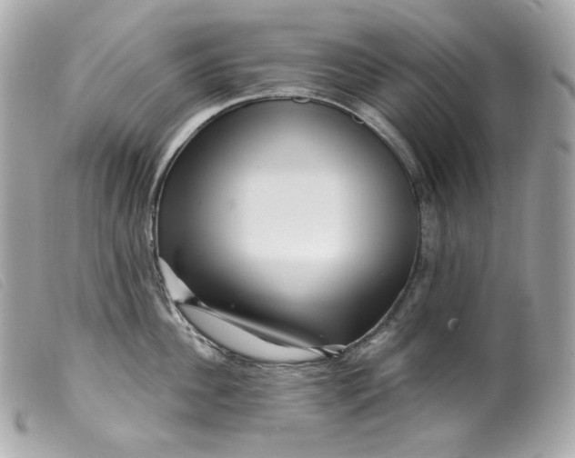 X0000099560956200805301539