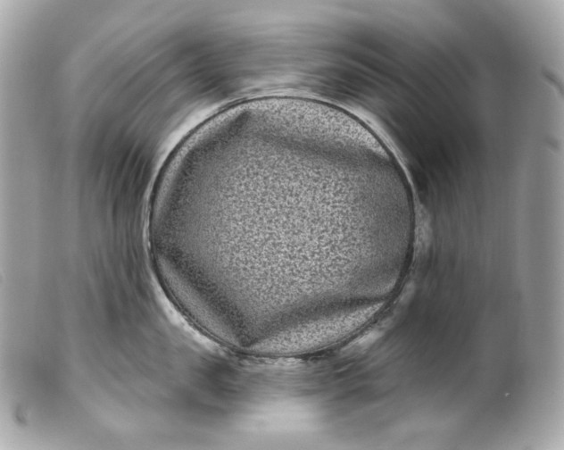 X0000099560957200805301539