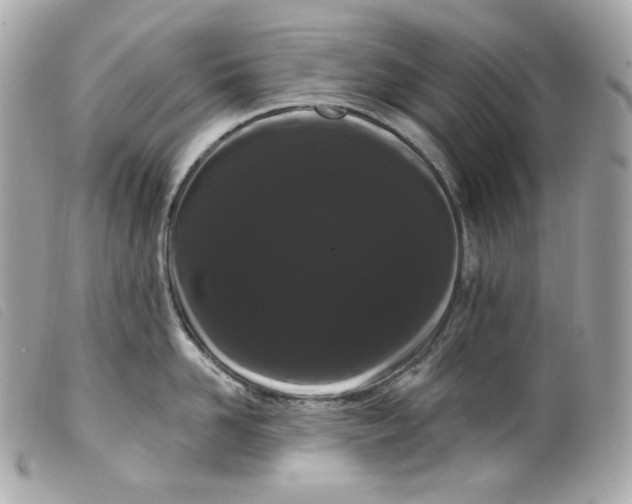 X0000099560958200805301539