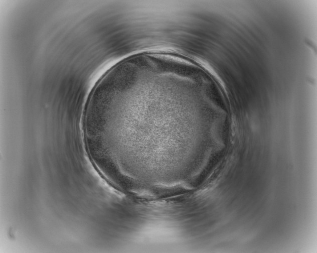 X0000099560959200805301539