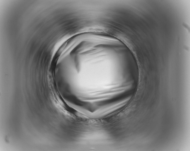 X0000099560960200805301539