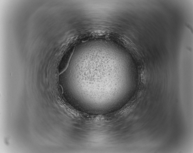 X0000099560961200805301538