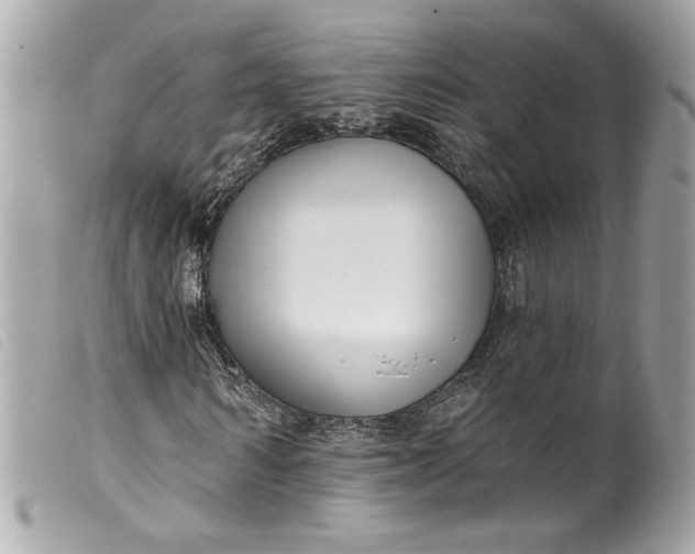 X0000099560962200805301538