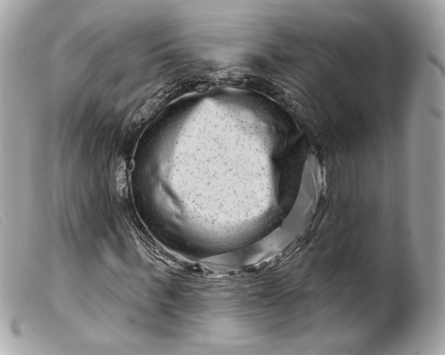 X0000099560963200805301538