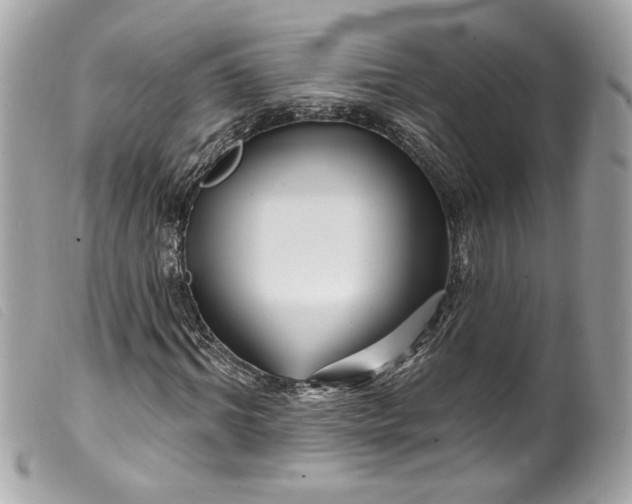 X0000099560964200805301538