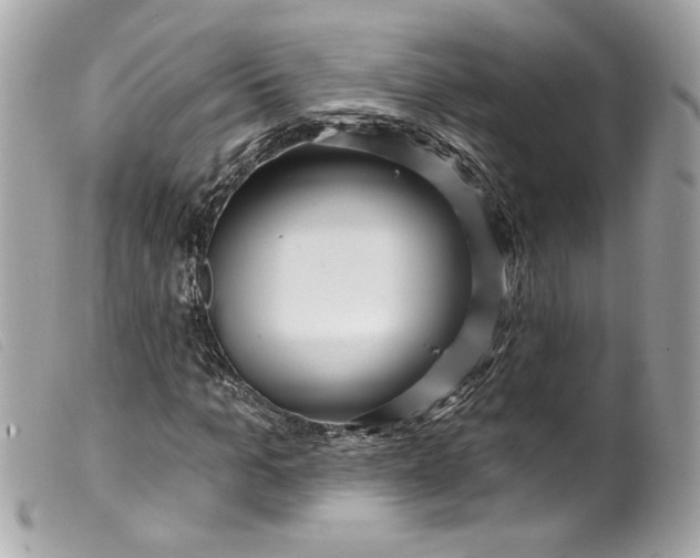 X0000099560965200805301538