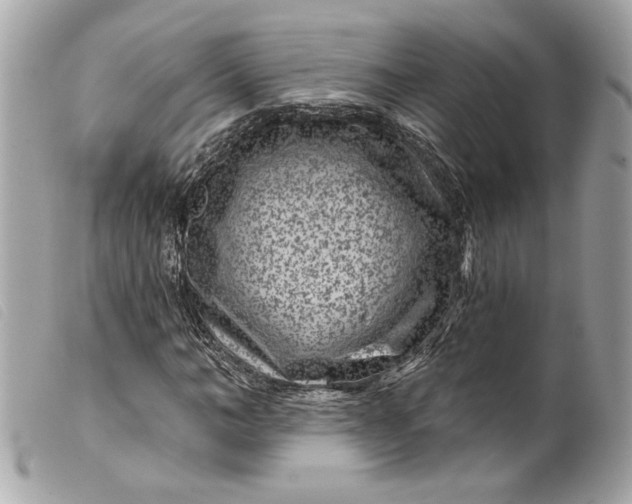 X0000099560966200805301538