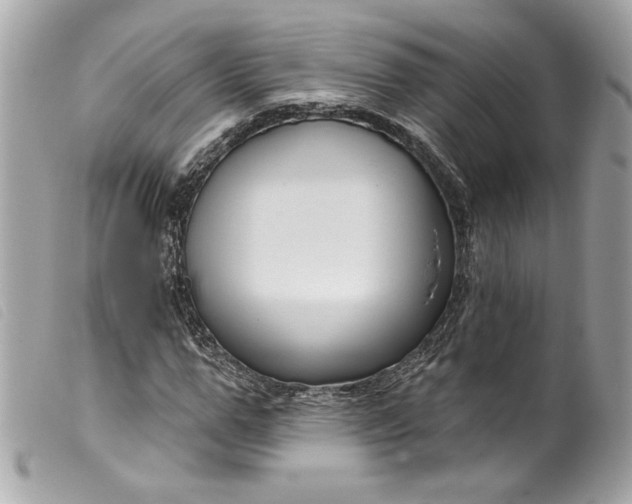 X0000099560967200805301538