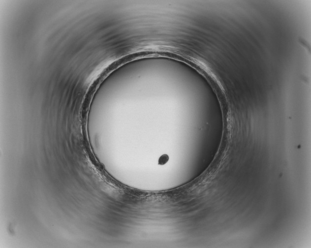 X0000099560972200805301538