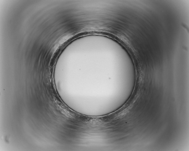 X0000099560974200805301538