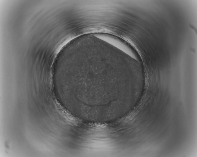 X0000099560975200805301538