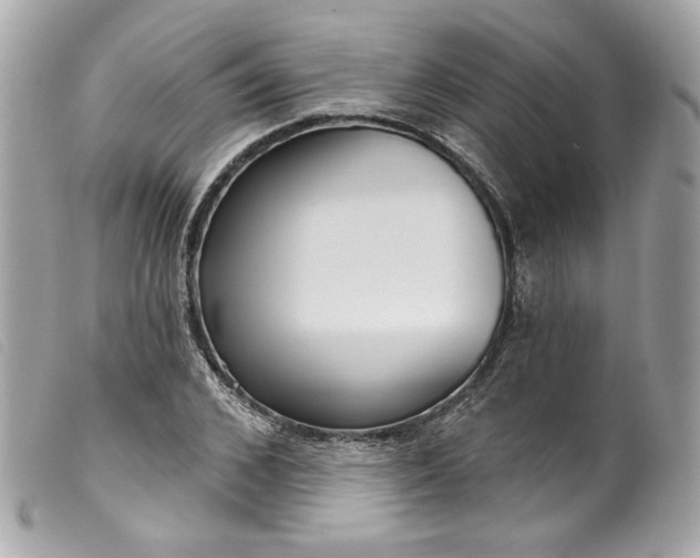 X0000099560976200805301538