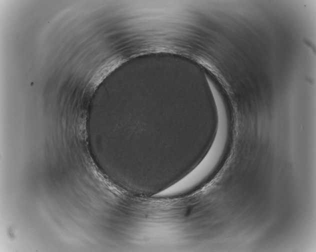 X0000099560977200805301538