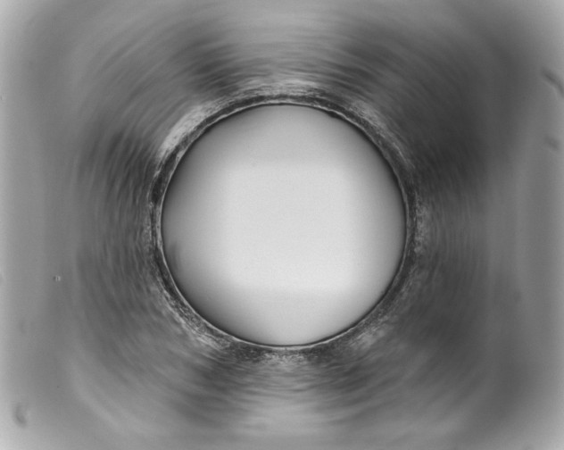 X0000099560978200805301538