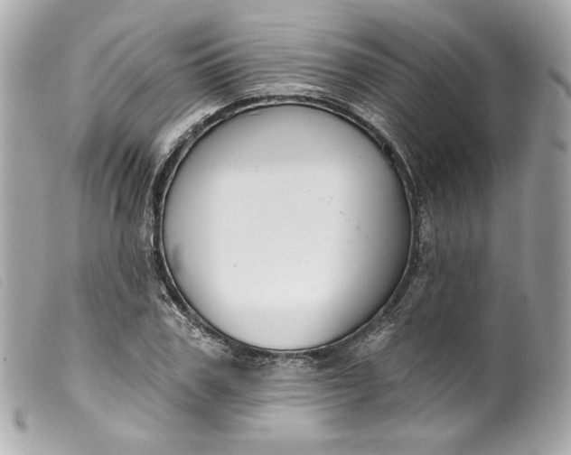 X0000099560979200805301538