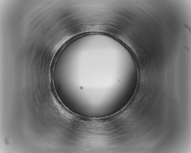 X0000099560980200805301538