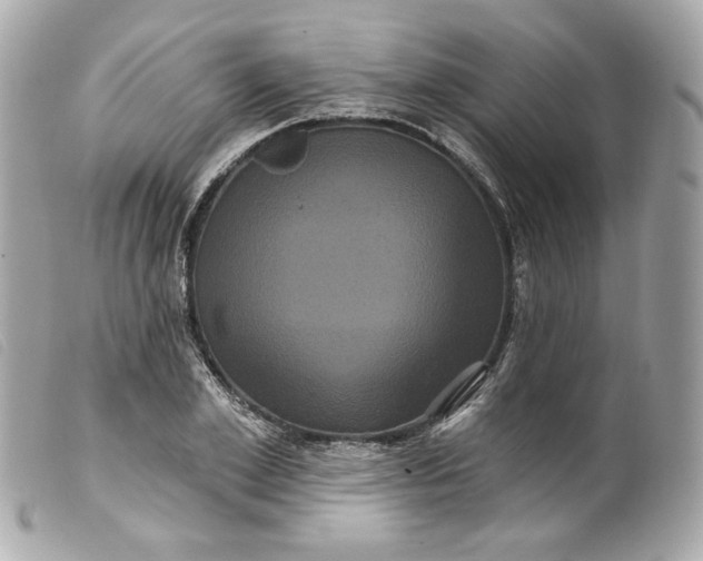 X0000099560981200805301538