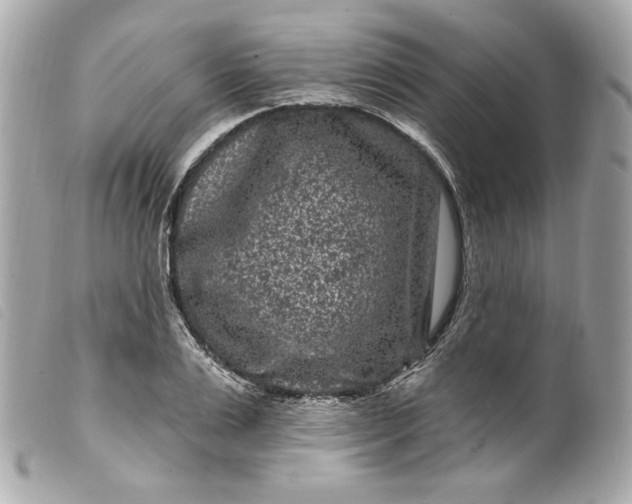 X0000099560983200805301538