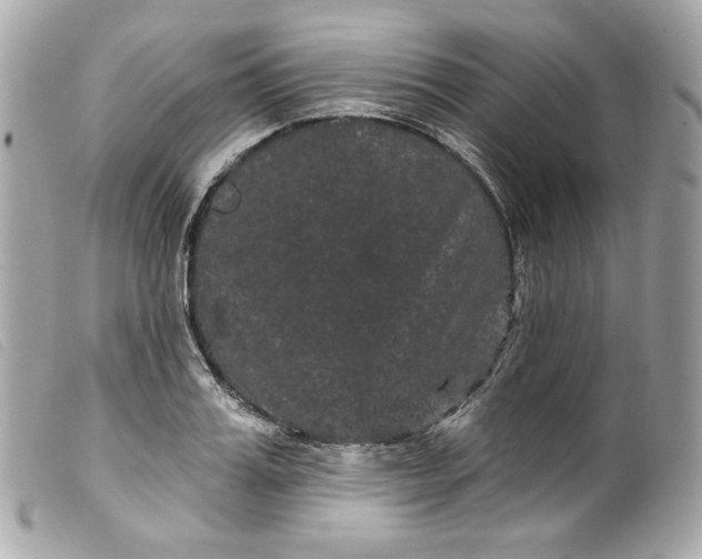 X0000099560987200805301538