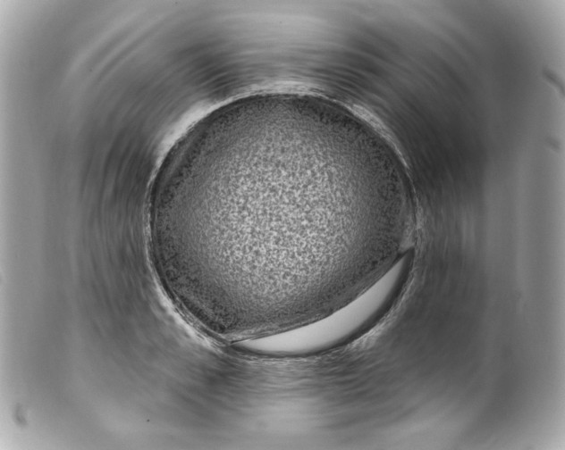 X0000099560989200805301538