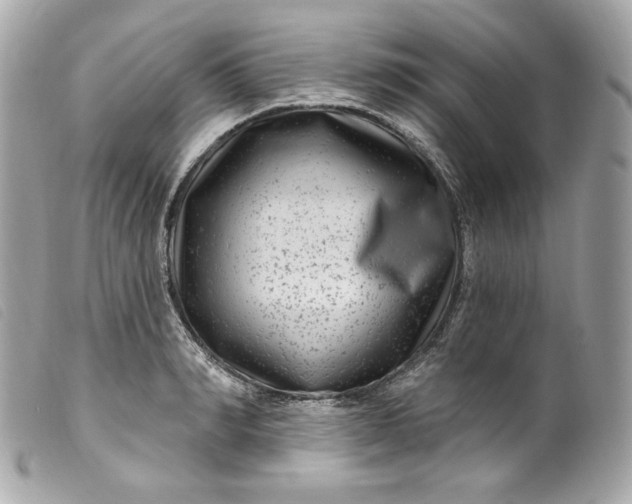 X0000099560990200805301538