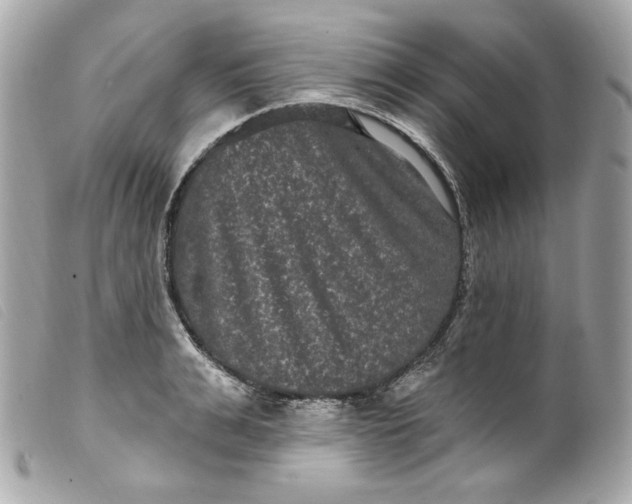 X0000099560991200805301538